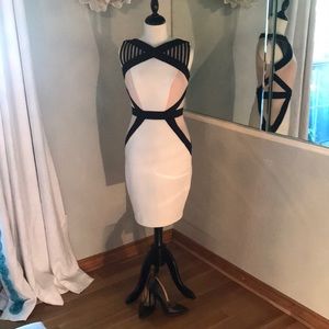 Jax Form Fitted Dress